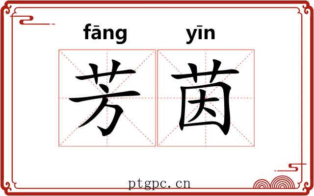 芳茵