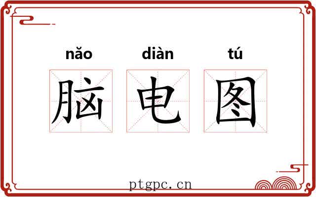 脑电图 脑电图