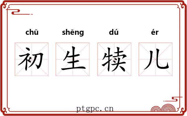 初生犊儿 初生犊儿