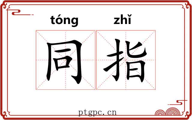 同指 同指
