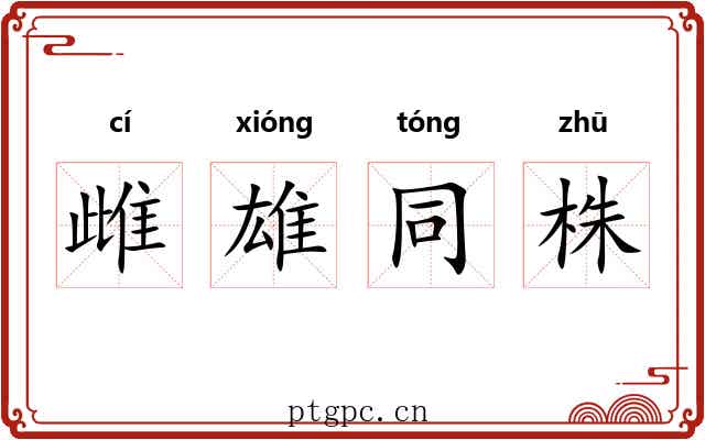 雌雄同株 雌雄同株