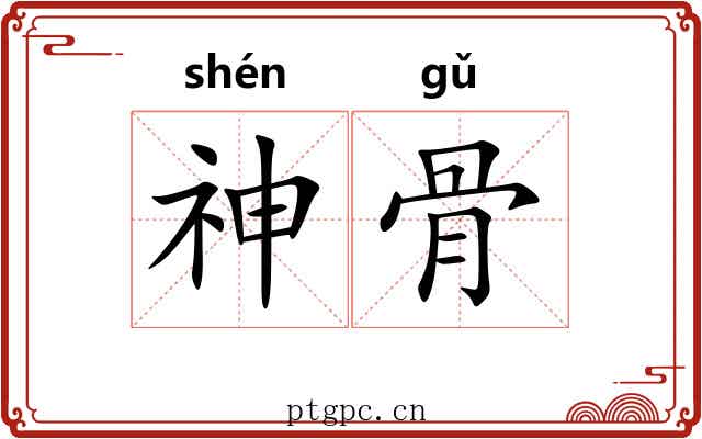 神骨 神骨