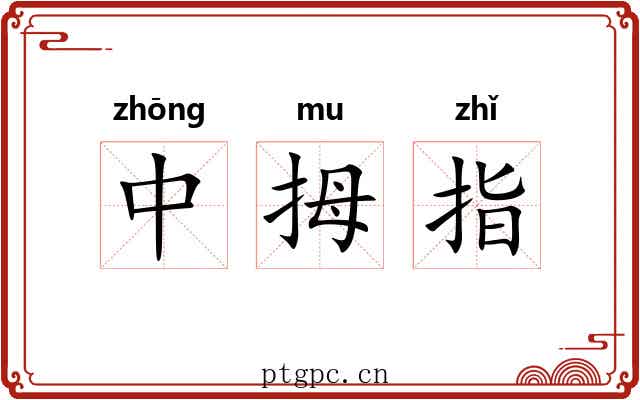 中拇指 中拇指