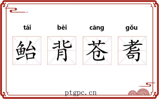 鲐背苍耈