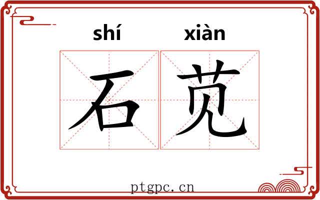 石苋 石苋