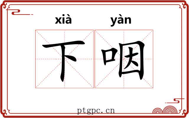 下咽