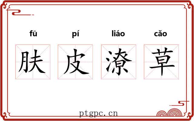 肤皮潦草