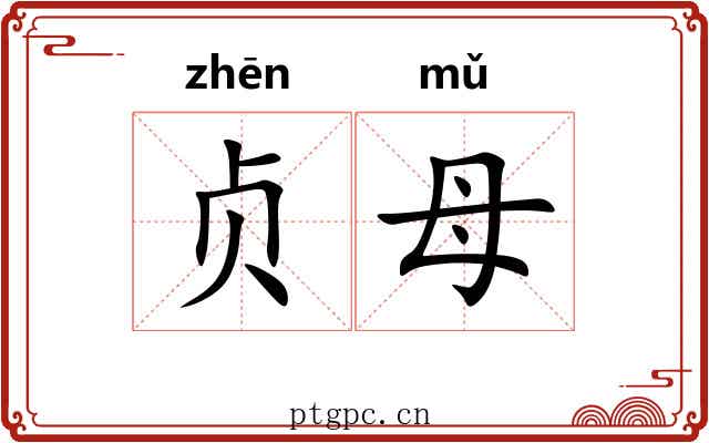 贞母