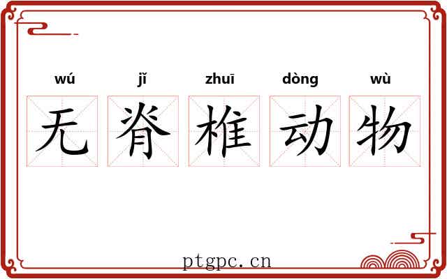 无脊椎动物