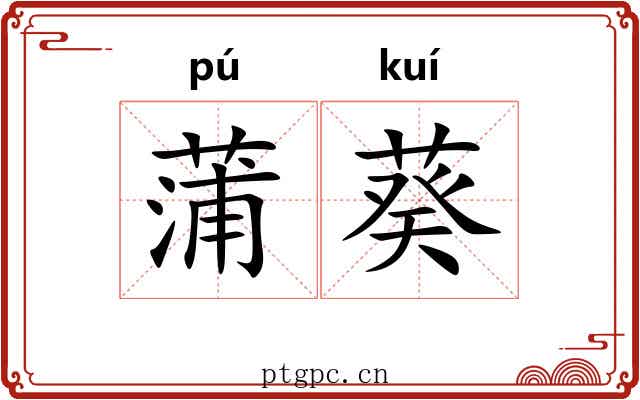 蒲葵 蒲葵