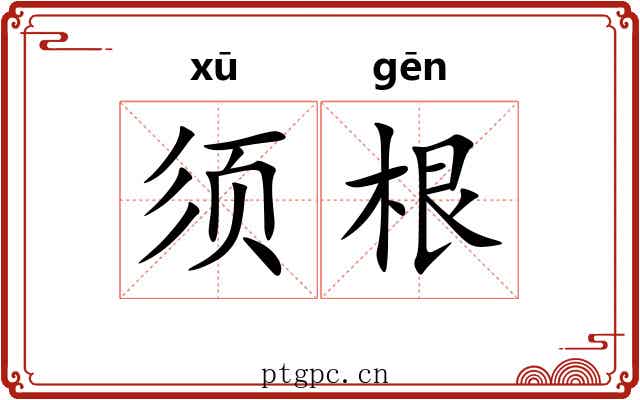 须根 须根