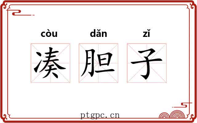 凑胆子