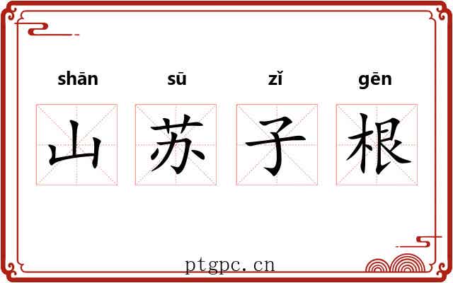 山苏子根