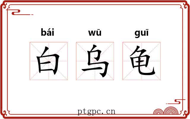 白乌龟 白乌龟