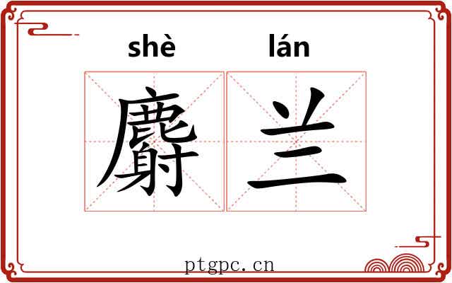 麝兰 麝兰