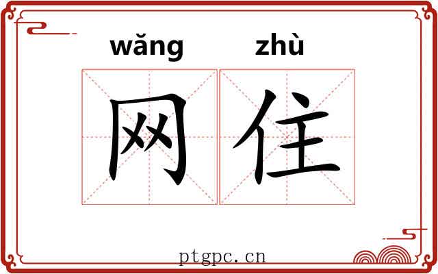 网住