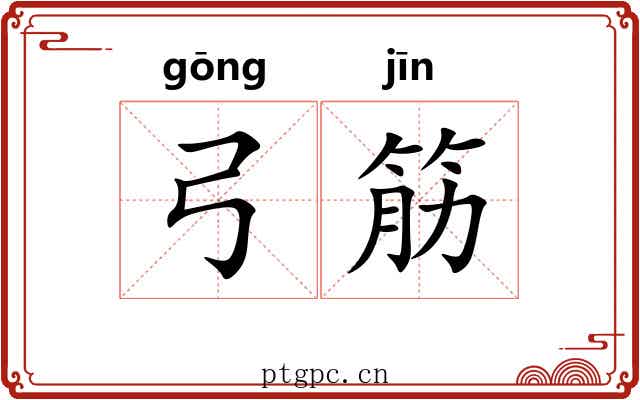 弓筋