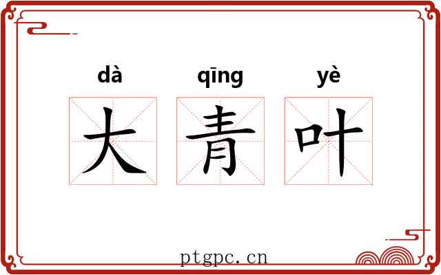 大青叶