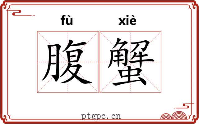 腹蟹 腹蟹