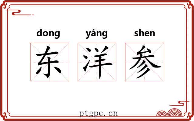 东洋参