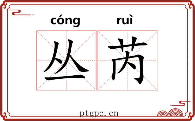 丛芮