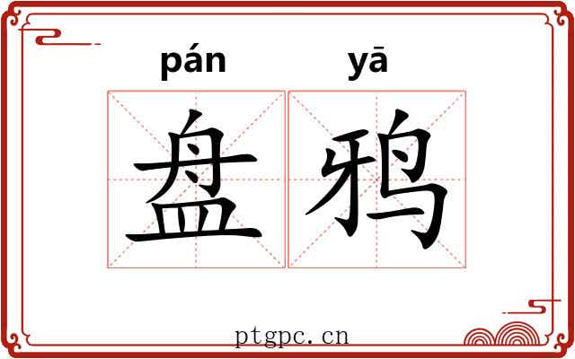 盘鸦 盘鸦