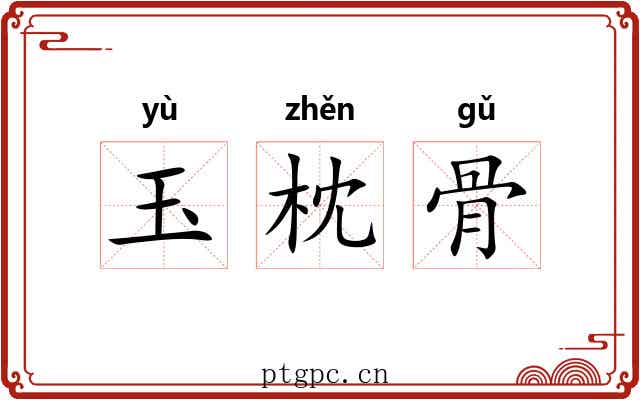 玉枕骨