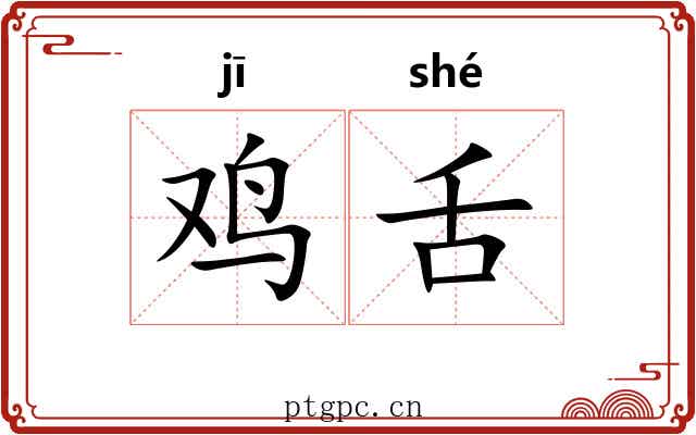 鸡舌