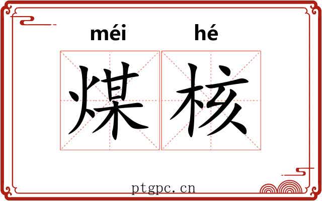 煤核