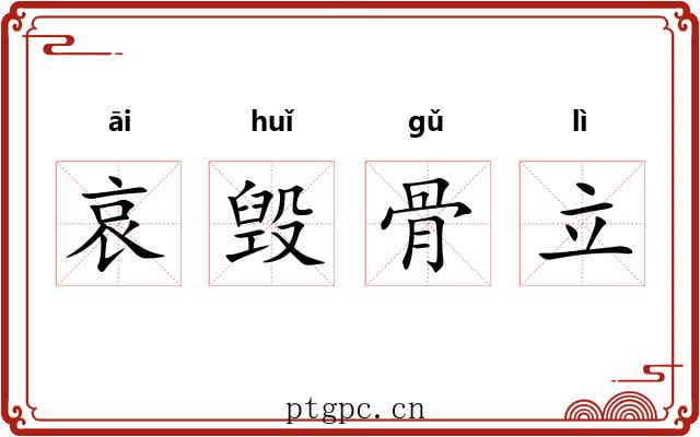 哀毁骨立