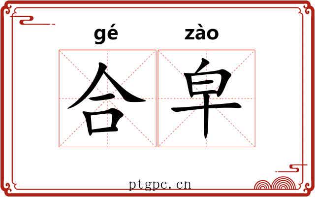 合皁