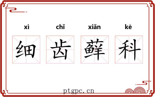 细齿藓科 细齿藓科