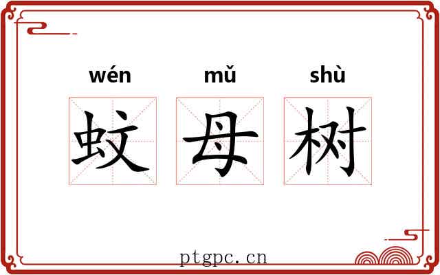 蚊母树 蚊母树