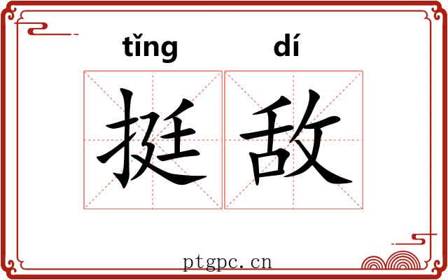 挺敌