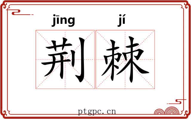 荆棘 荆棘
