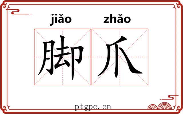脚爪