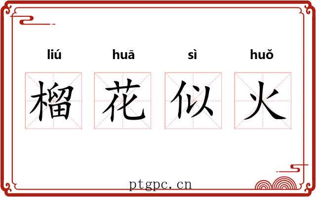 榴花似火 榴花似火