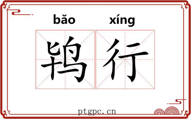 鸨行 鸨行