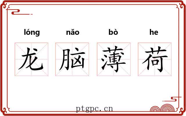 龙脑薄荷