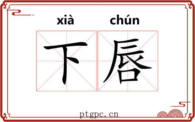 下唇