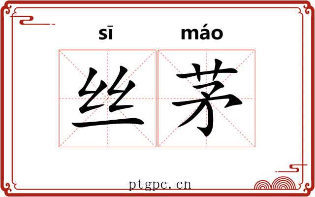丝茅