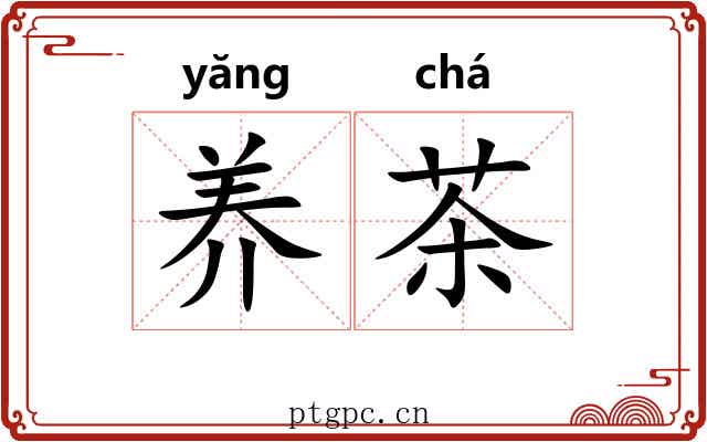 养茶