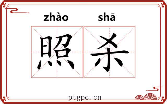 照杀 照杀