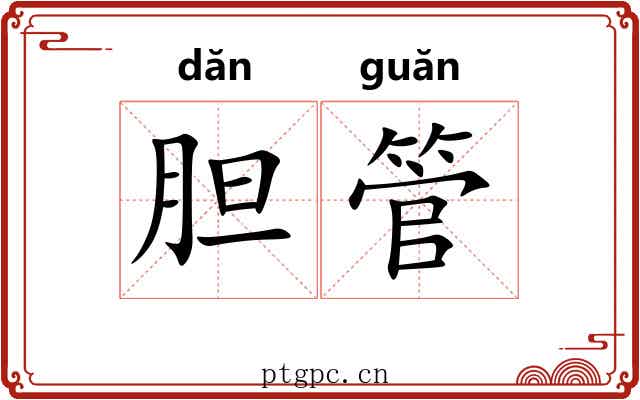 胆管 胆管