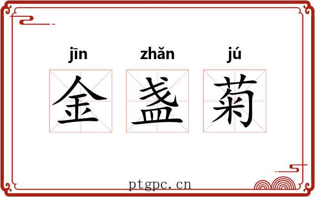 金盏菊