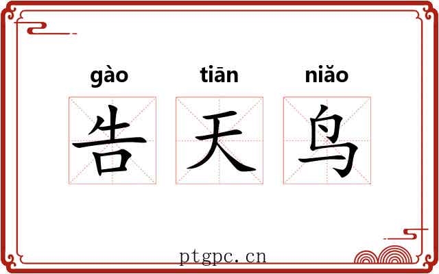 告天鸟