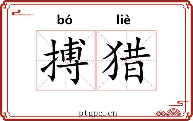 搏猎