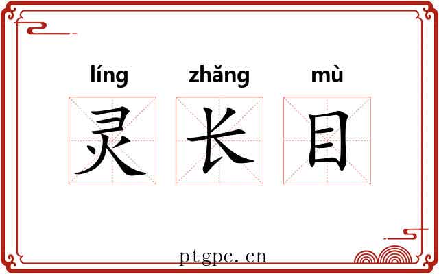 灵长目
