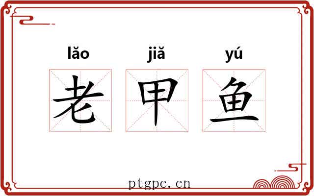 老甲鱼 老甲鱼
