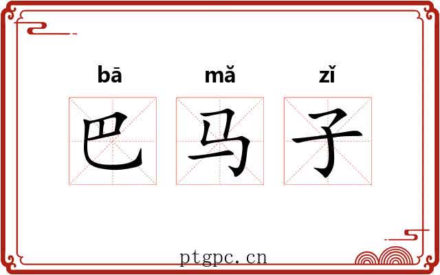 巴马子 巴马子